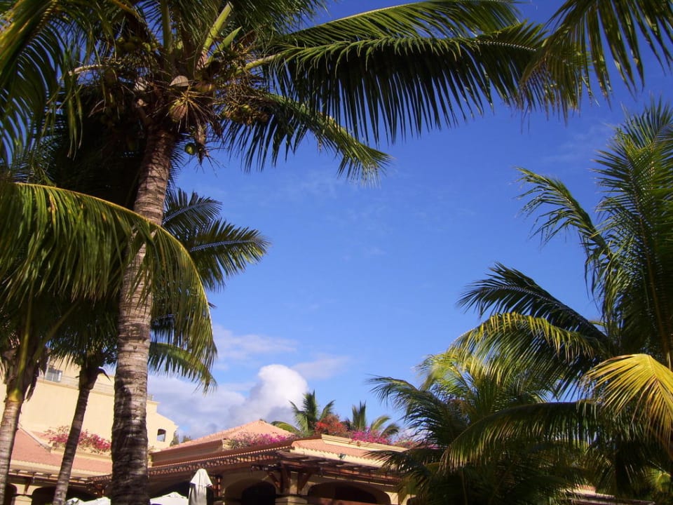 Einfach traumhaft Mauricia Beachcomber Resort & Spa