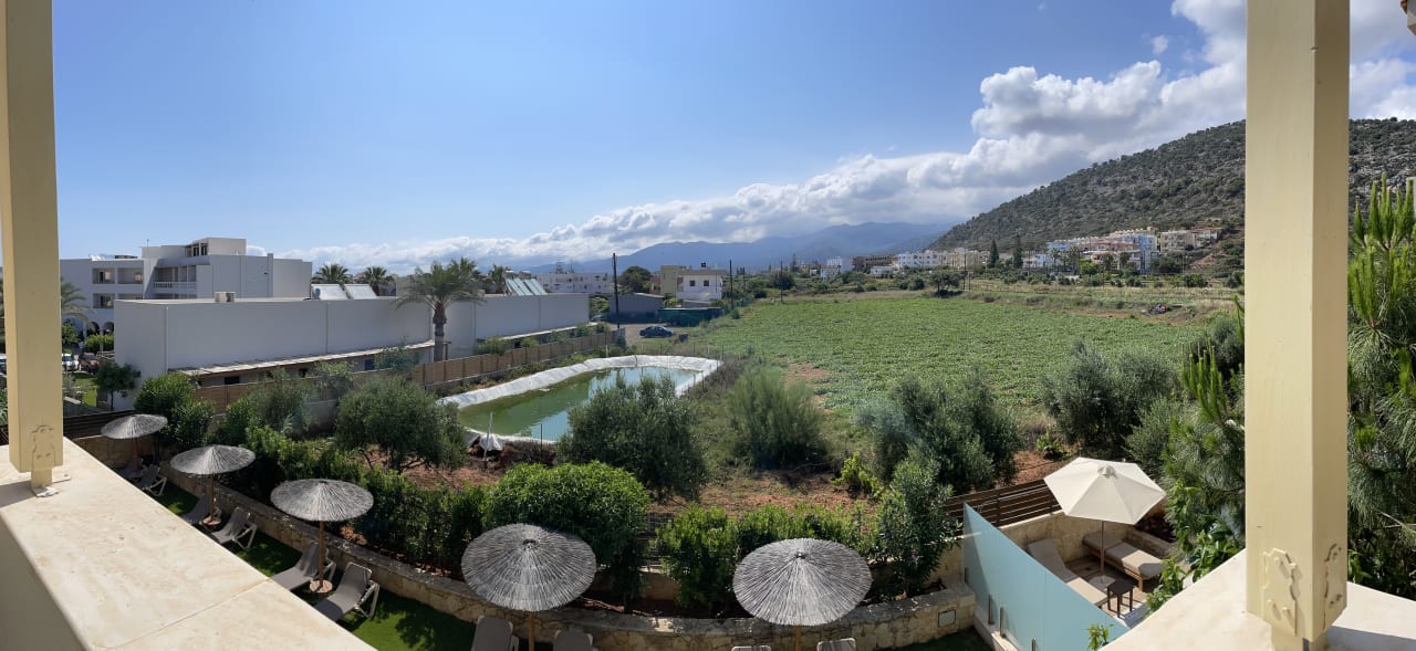 Ausblick Cactus Royal