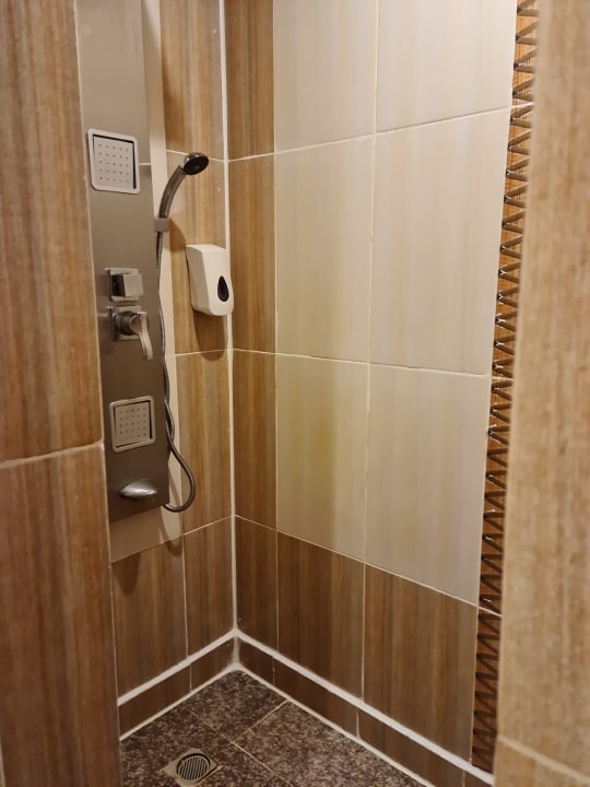 Zimmer Pickalbatros Palace Resort