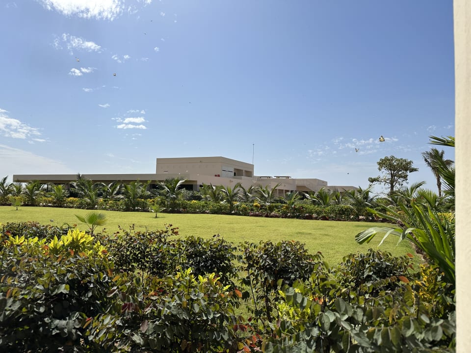 Gartenanlage Hotel Riu Baobab