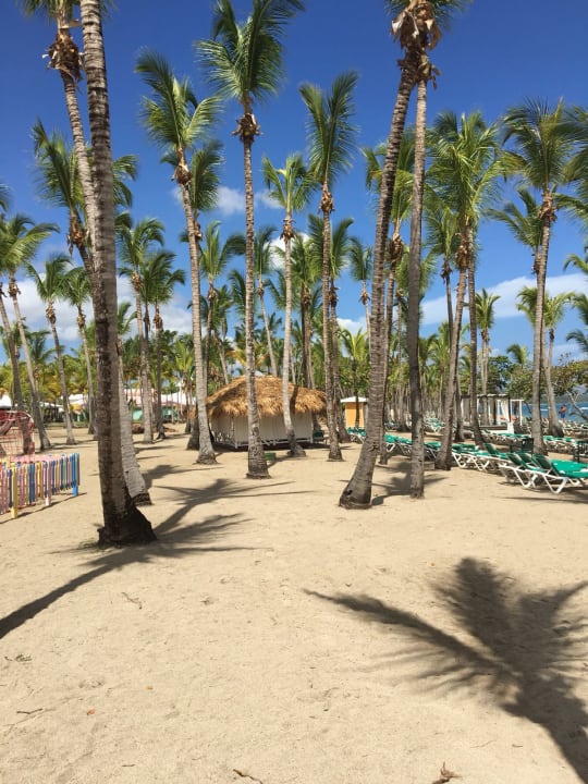 Gartenanlage Playabachata Hotel