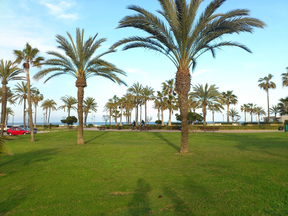 Parkähnliche Anlage vor Hotel allsun Hotel Bahia del Este