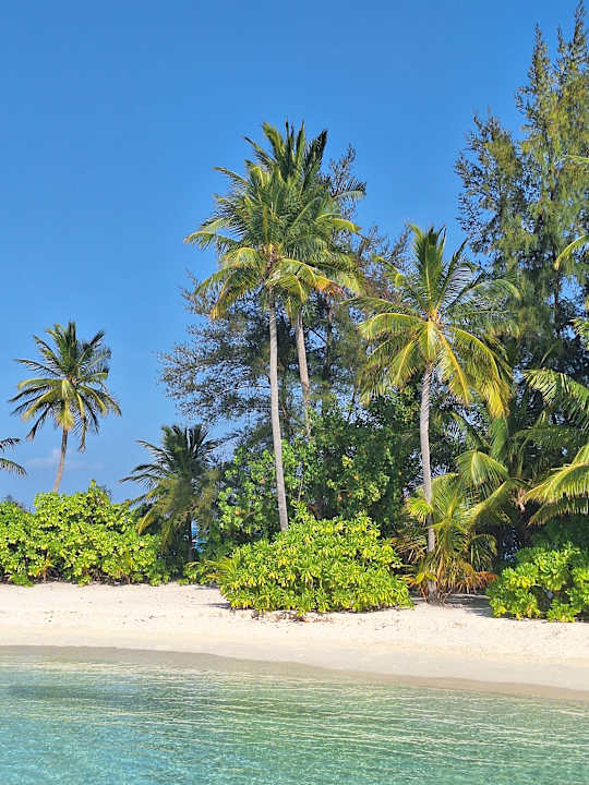 Strand Safari Island Maldives