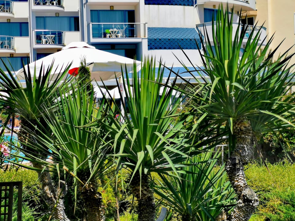 Sonstiges Hotel Sineva Beach