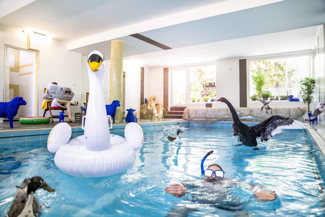 Pool Gartenhotel Fettehenne