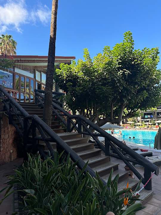 Gartenanlage Hotel Parque Tropical