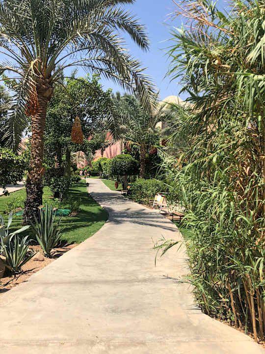 Gartenanlage Jaz Makadi Oasis Resort