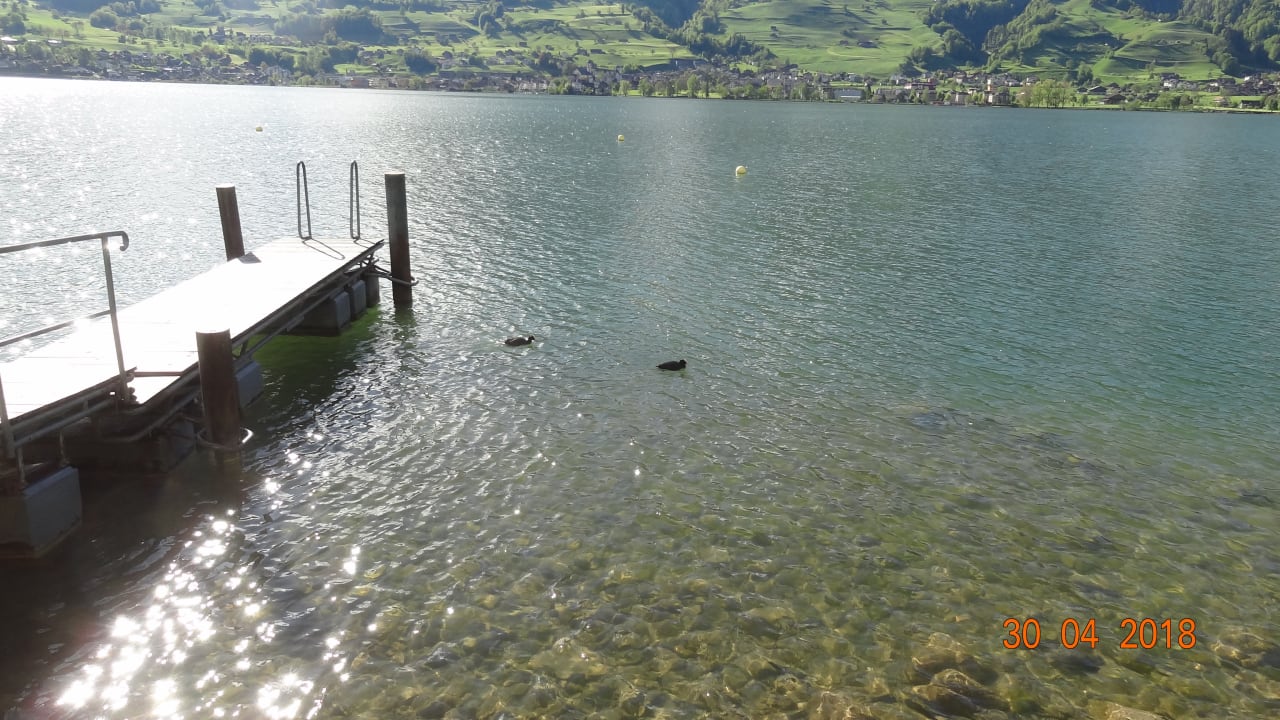 Mit Steg Seehotel Wilerbad