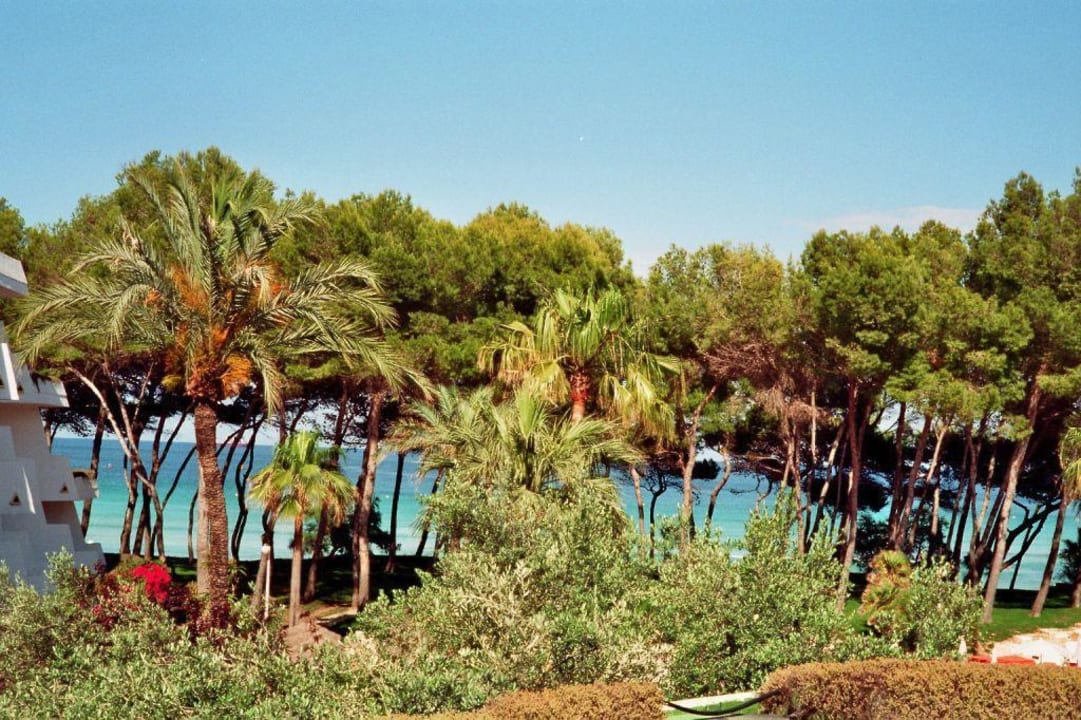 Garten mit Meer im Hintergrund Iberostar Waves Playa de Muro