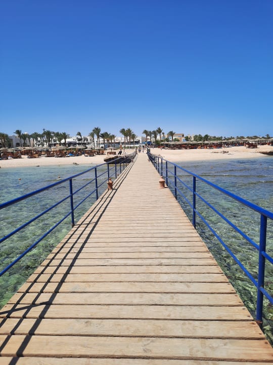 Ausblick Pickalbatros Palace Hotel-Port Ghalib