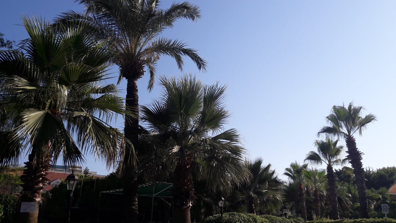 Gartenanlage Side Breeze Hotel