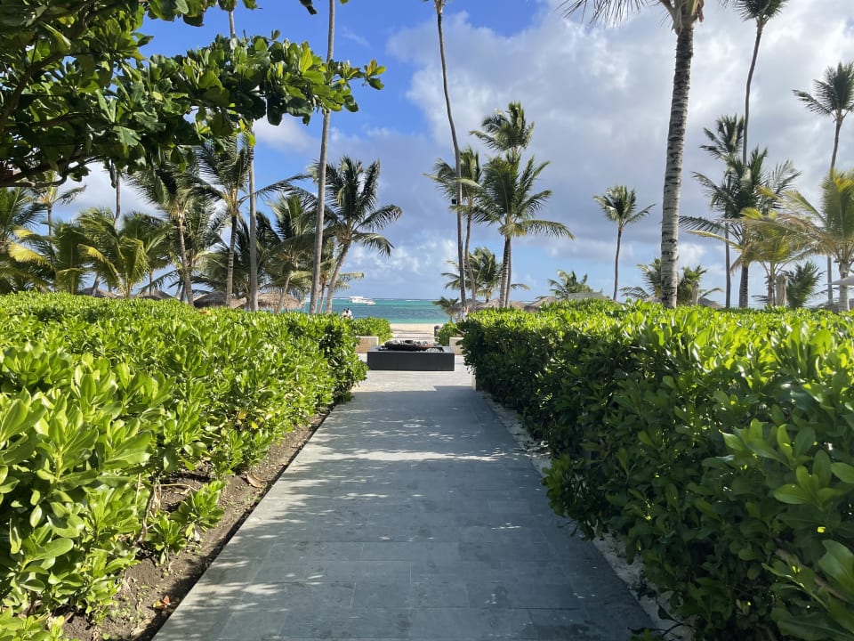 Ausblick Lopesan Costa Bávaro Resort, Spa & Casino