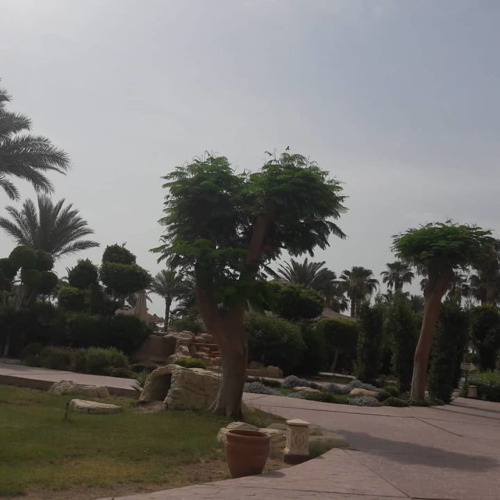 Gartenanlage Lotus Bay Beach Resort