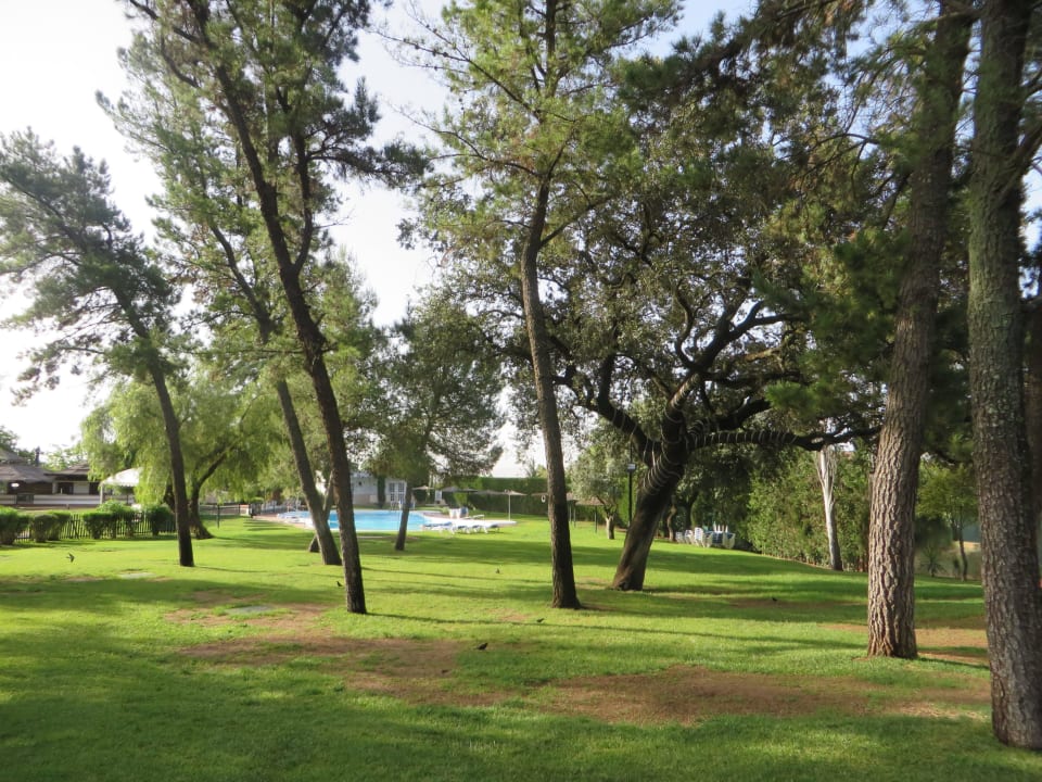 Großzügige Gartenanlage Ayre Hotel Cordoba