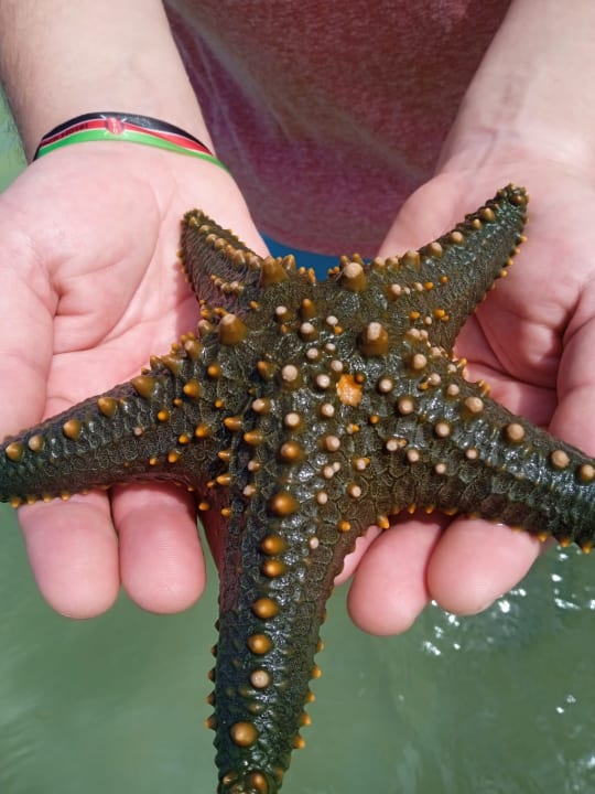 Strand Bahari Beach Hotel