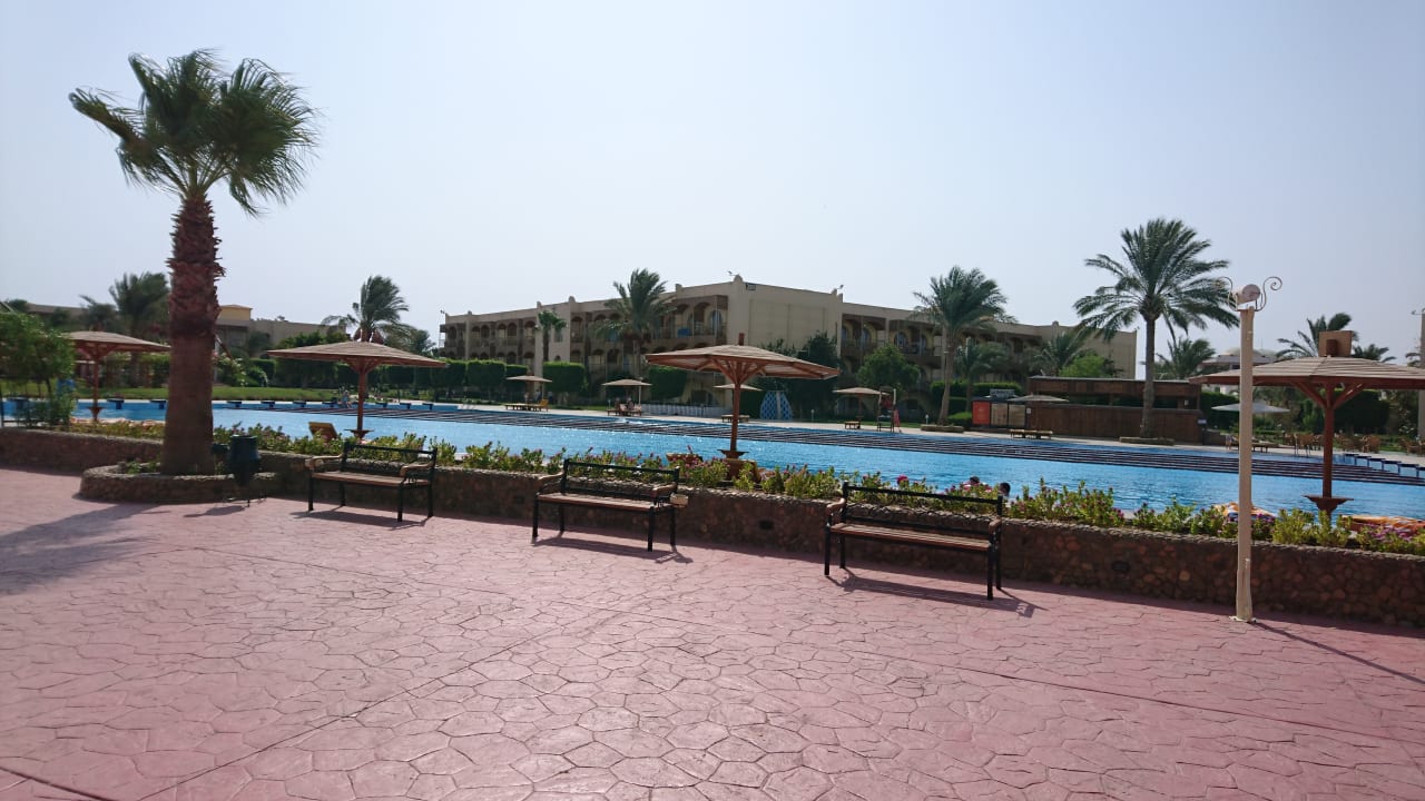 Gartenanlage Desert Rose