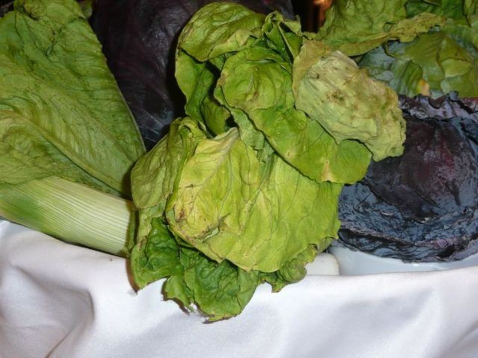 Welker Salat Occidental Jandía Mar