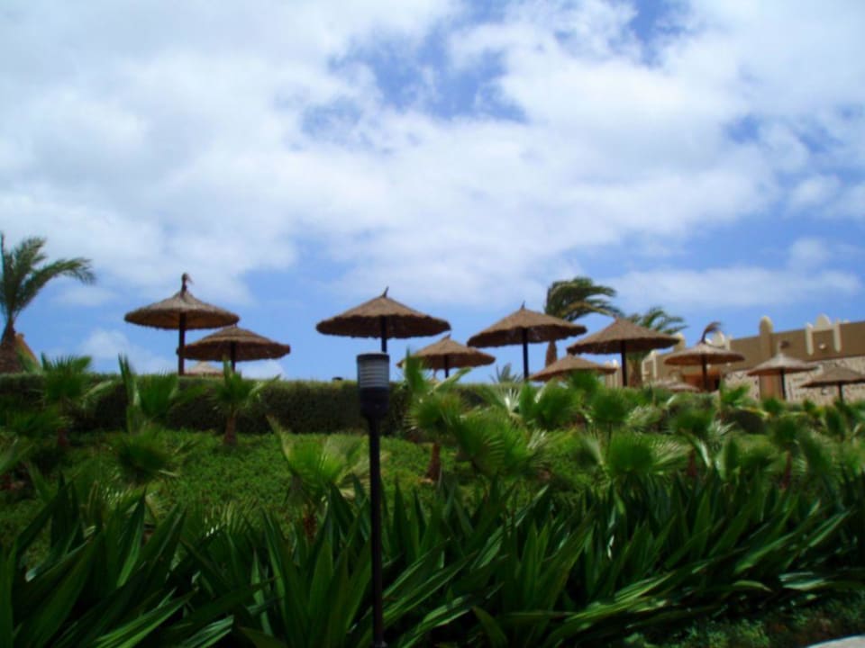 Grünanlage Hotel Riu Funana