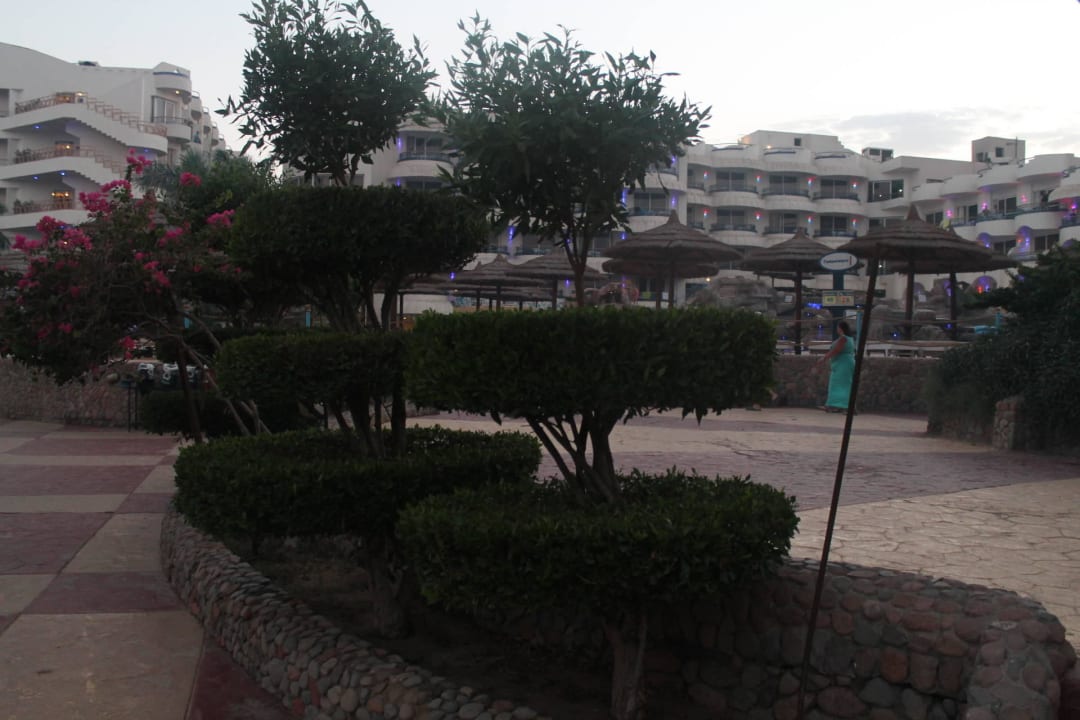 Widok od strony plaży w Resort Seagull Beach Resort