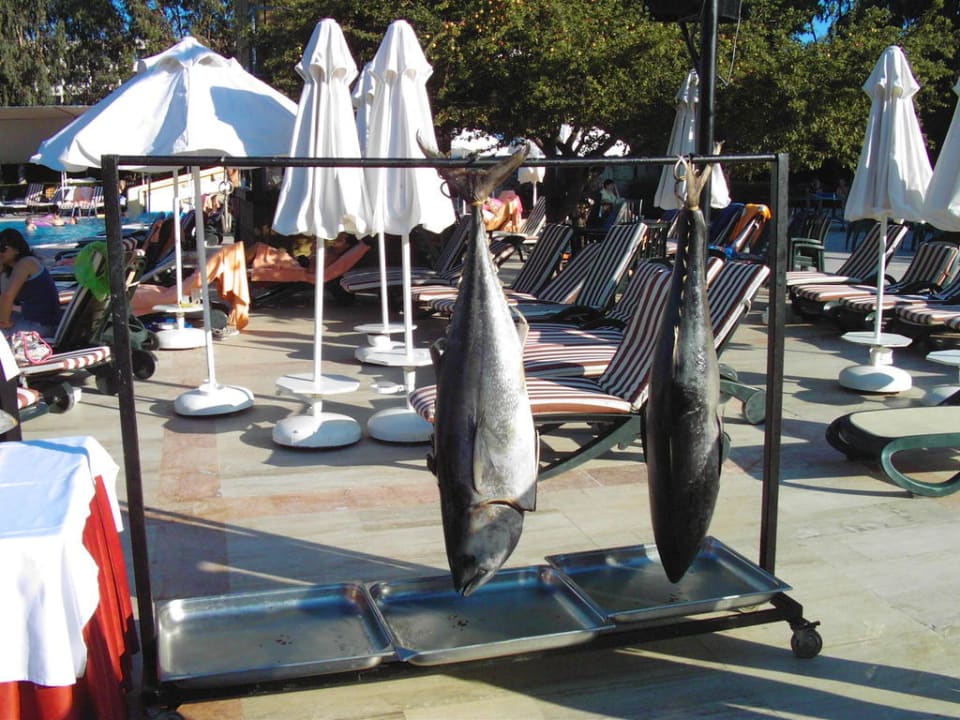 Abendessen Greenwood Kemer Resort