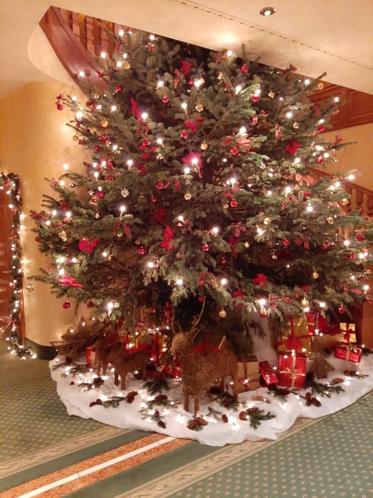 Lobby re.vita - naturresort & spa