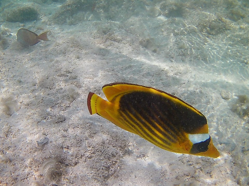 Strand Three Corners Sea Beach Resort