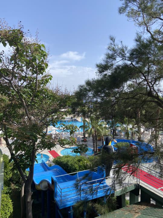 Pool Hotel Botanik Platinum