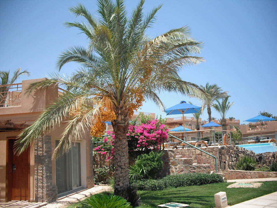 Rechts ist der pool Shams Prestige Abu Soma-Adults Only