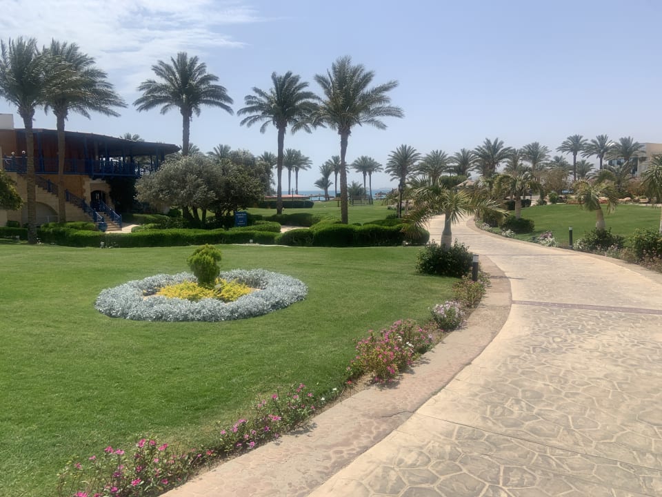 Gartenanlage Palm Royale Resort - Soma Bay