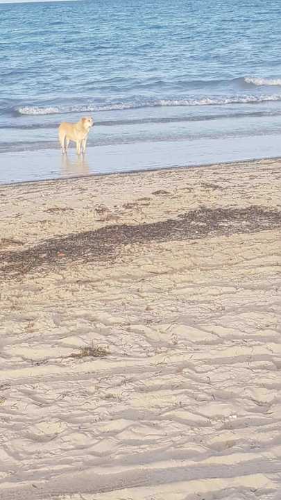 Strand TMK Marine Beach by Turismark