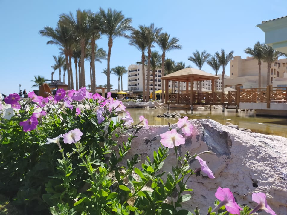 Gartenanlage Tropitel Sahl Hasheesh