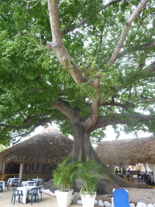 Bellevue Hotel BelleVue Dominican Bay