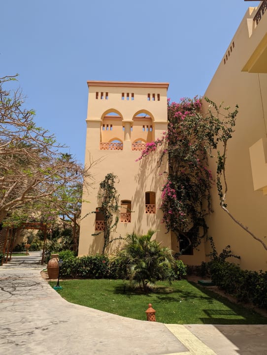 Gartenanlage Steigenberger Coraya Beach - Adults only