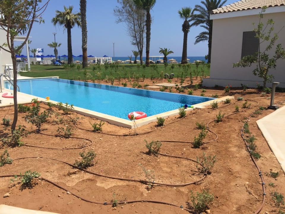 Außenansicht Mare Ayia Napa