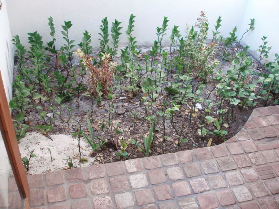 Außendusche vom Bungalow Kuramathi Maldives