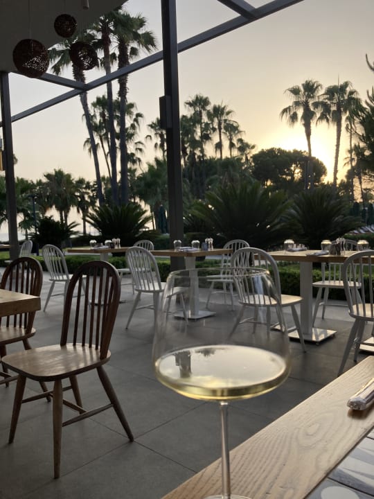 Gastro Acanthus Cennet Barut Collection