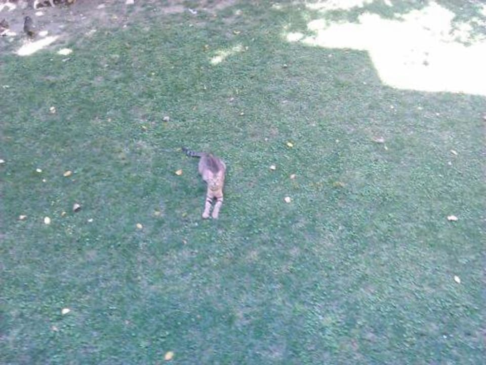 Gartenanlage Melas Resort Hotel