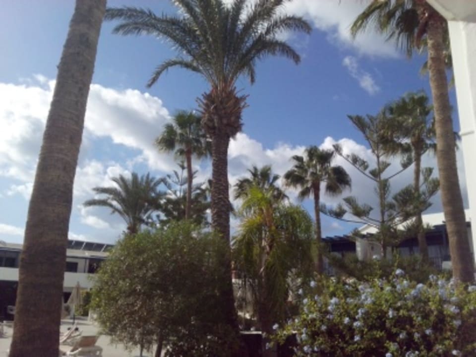 Gartenanlage Bungalows & Appartements Playamar