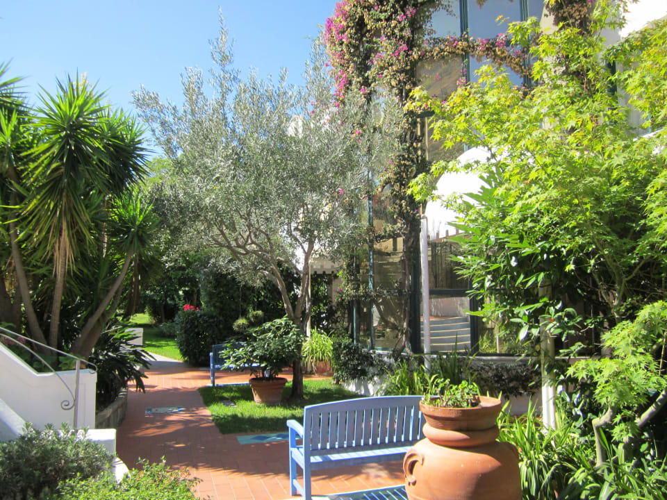 Eingang zur Rezeption  Hotel Paradiso Terme Resort & SPA