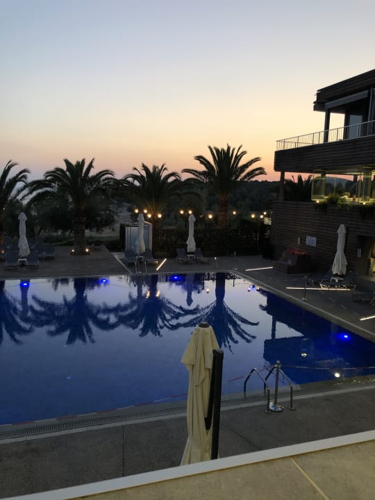 Pool Blue Dolphin Resort Hotel