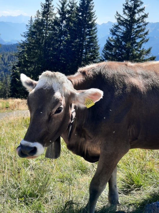 Sonstiges Oberjoch - Familux Resort
