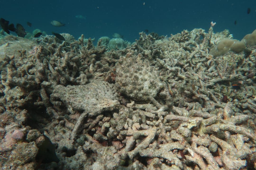 Sport & Freizeit Thulhagiri Island Resort