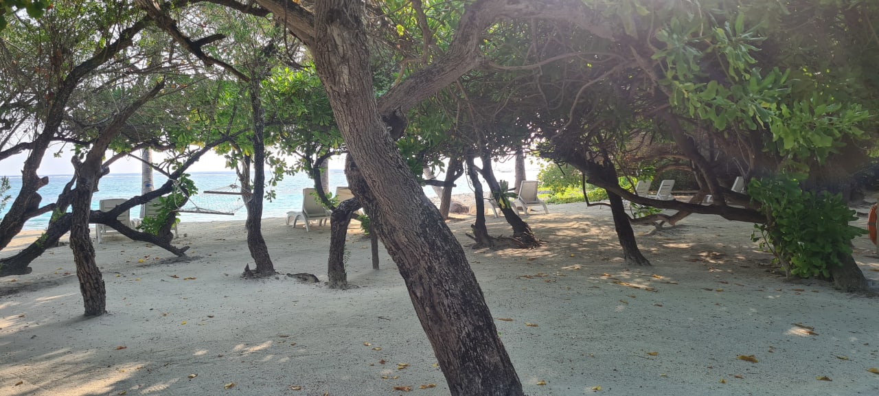 Gartenanlage Adaaran Select Hudhuran Fushi - Premium All Inclusive