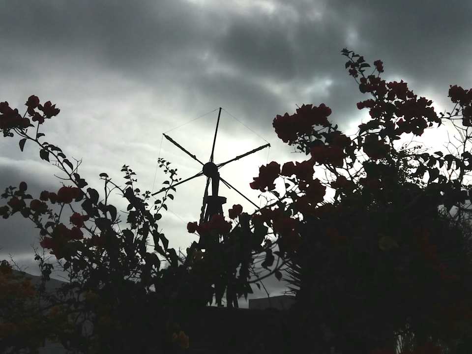 Gartenanlage Agro-Hotel Rugama