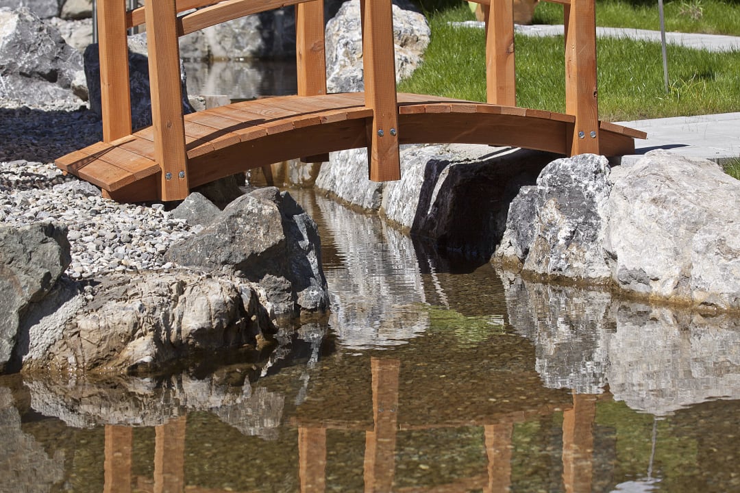 Kneippteich Hotel Steinbock