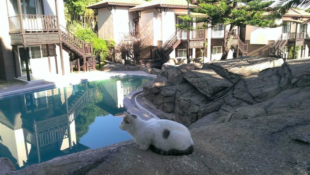 Villas Papillon Ayscha