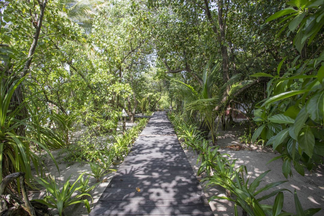 Wege Gangehi Island Resort