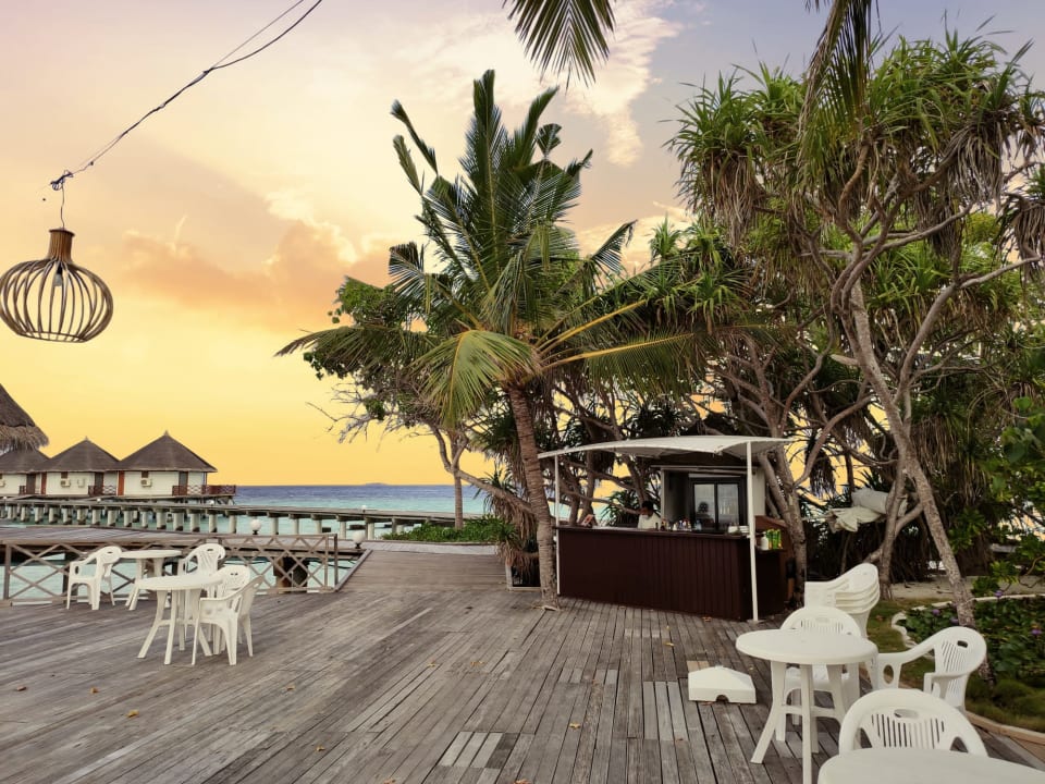 Gastro Safari Island Maldives