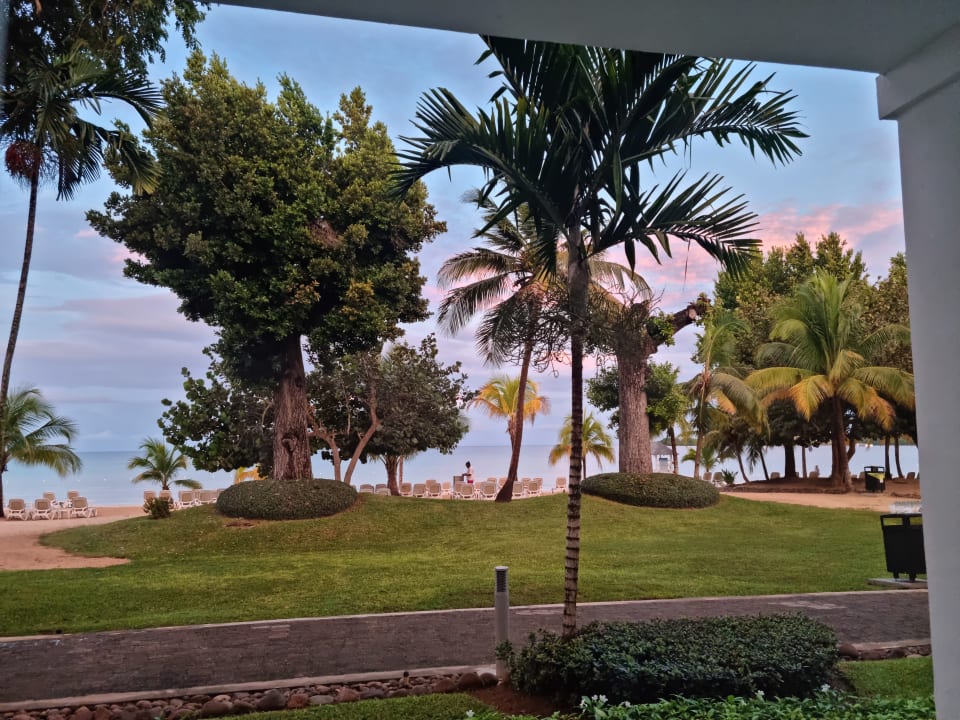 Ausblick Hotel Riu Palace Tropical Bay