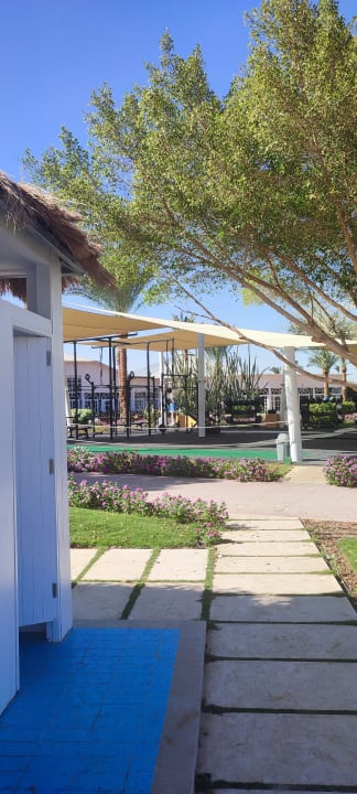 Sport & Freizeit Desert Rose